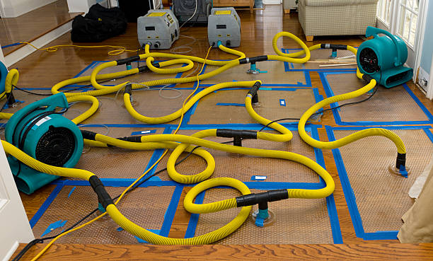 Professional Crawl Space Water Removal technician working in Albion, RI